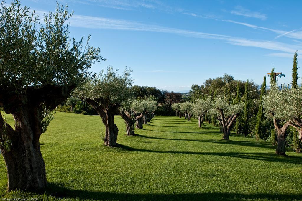 Tenuta Di Petriolo Guest House ตอร์ริตา ดิ เซียนา ภายนอก รูปภาพ