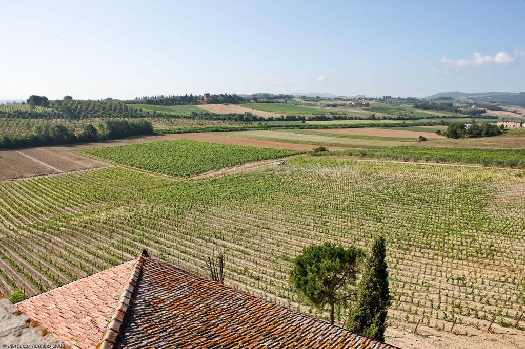 Tenuta Di Petriolo Guest House ตอร์ริตา ดิ เซียนา ภายนอก รูปภาพ